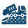 section image